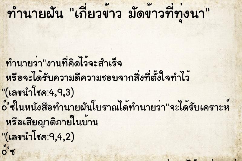 ทำนายฝันทำนายฝันเกี่ยวข้าวมัดข้าวที่ทุ่งนา